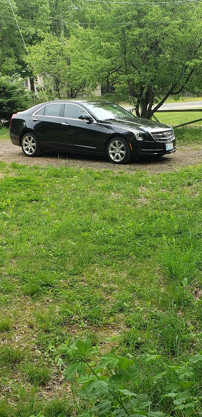 Clean Puppy Car Wash