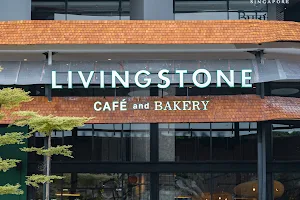 Livingstone BSD image
