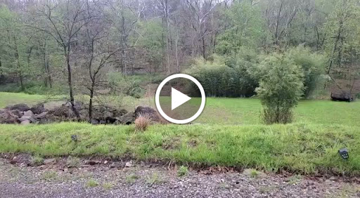Tranquility Stream - Visual