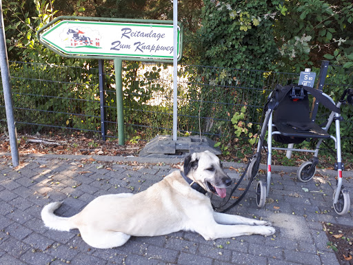 Bad Oeynhausen pool - Thumbnail