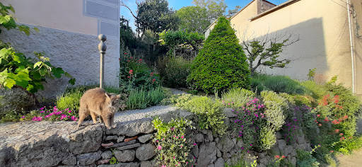 Borgo Tepolini - Thumbnail