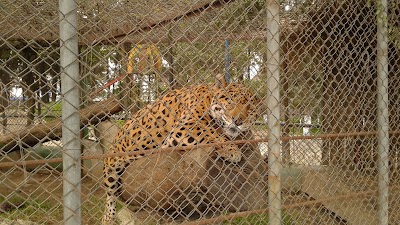 Photos of Zool&oacute;gico Minerva