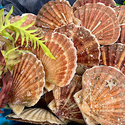 Photo n°40 de E.Leclerc HAZEBROUCK à Hazebrouck (Magasin d'alimentation bio)