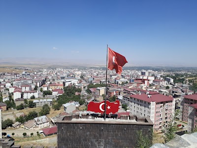 Muş