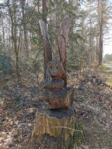Wanderweg am Waldfriedhof - Thumbnail
