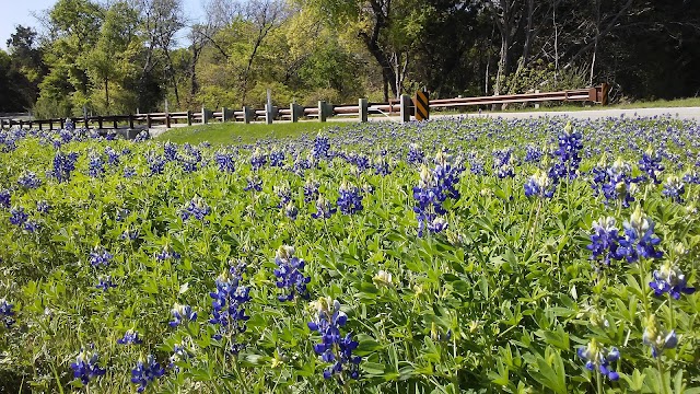 Cleburne State Park