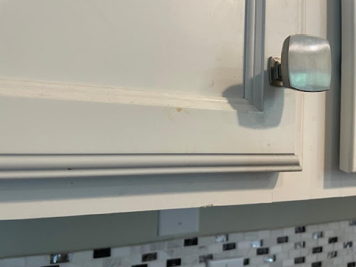 Pristine Queen Cleaning Services