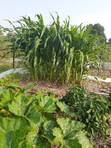 Cuyahoga Falls Community Gardens at Keyser Park