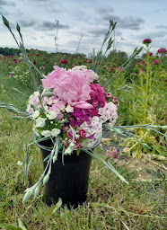 Photo n°36 de Ferme de Rutel à Villenoy (Primeur)