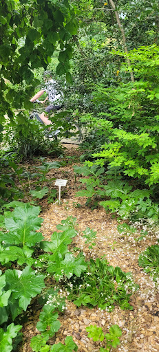 Jardin des senteurs et du toucher Gallery - France