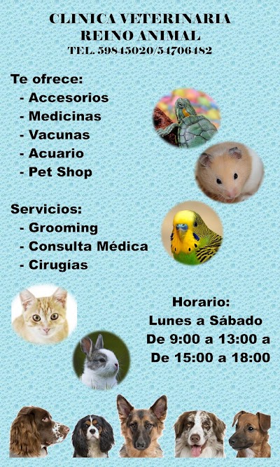 veterinary-care