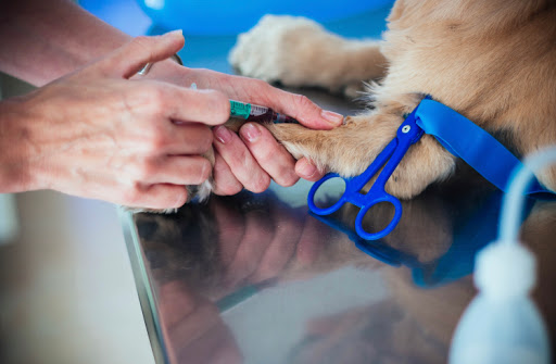 CLÍNICA VETERINARIA CABRERIZOS