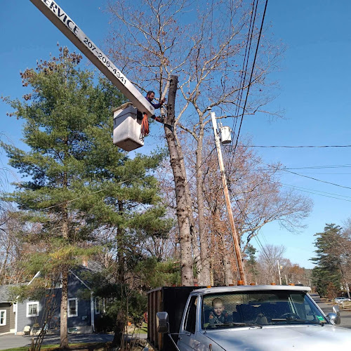 Beau's Tree Service
