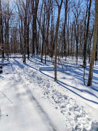 Baker Woods - Visual