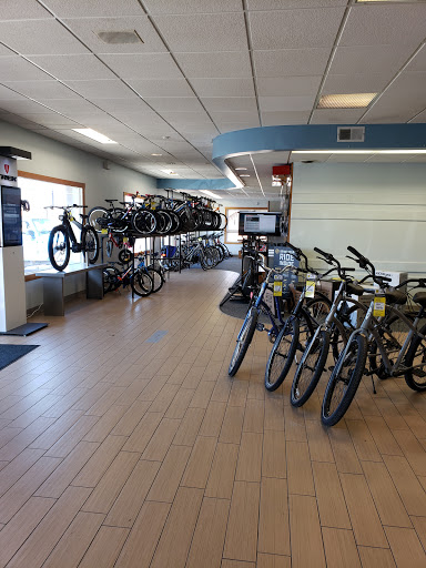 Vitesse Cycle Shop Gallery - United States