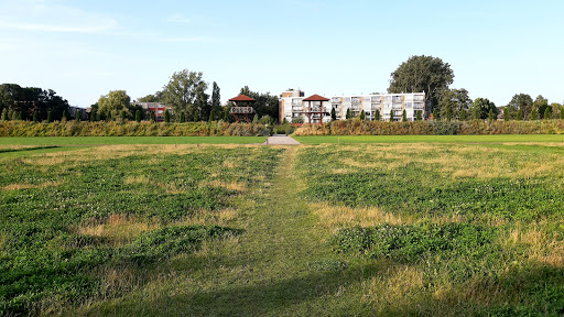 Park Matilo - Thumbnail