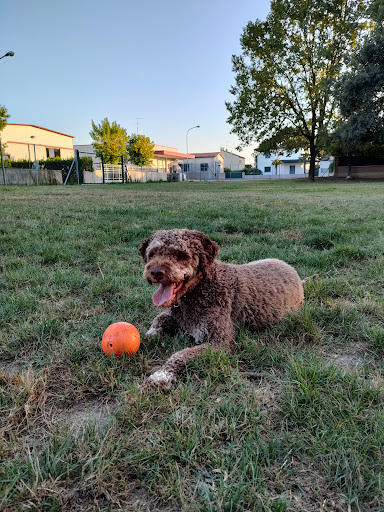 Area Sgambamento Cani San Pancrazio - Thumbnail
