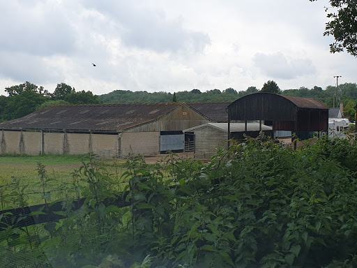 Rusthall Farm