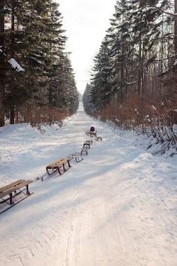 Domek myśliwski darz bór, Author: Magdalena Janas-Seńków