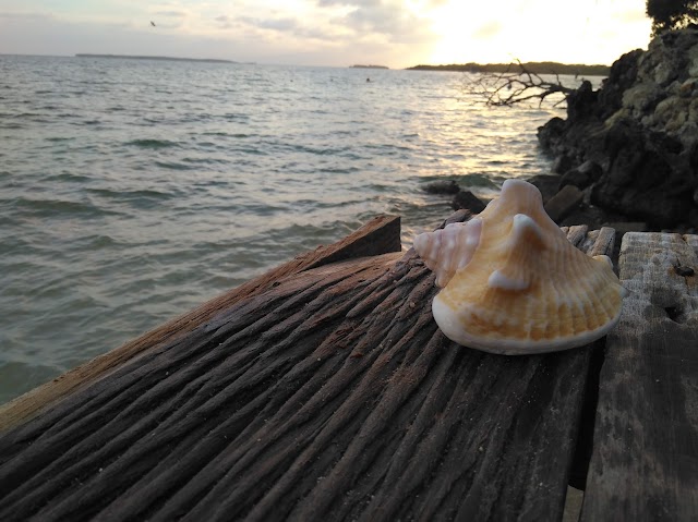 Eco-hotel El Hamaquero
