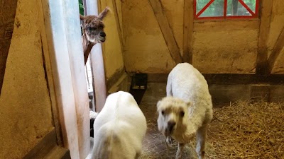 Photos of Tiergehege im Kaisergarten
