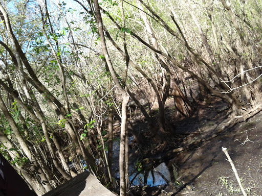 TECO Building at Nature's Classroom - Thumbnail