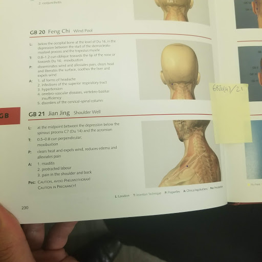 Central Scarborough Physiotherapy Clinic - pt Health - Thumbnail