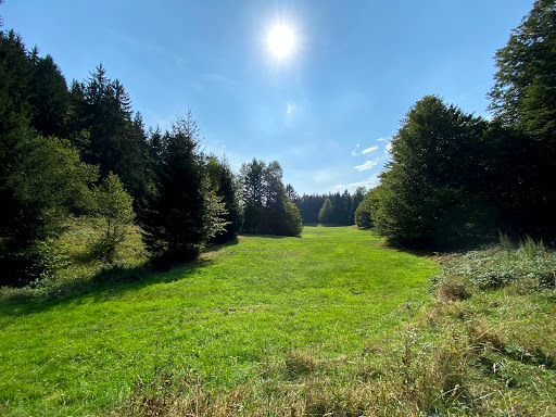 Vessertal - Thumbnail