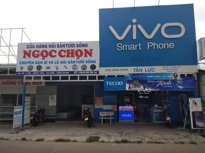 ĐTDD Tấn Lực, Đông Thái, An Biên, Kiên Giang