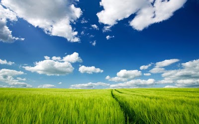 Photos of তুলাতলী জামে মসজিদ