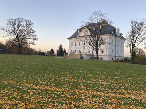 Hotel i Restauracja Pałac Borynia