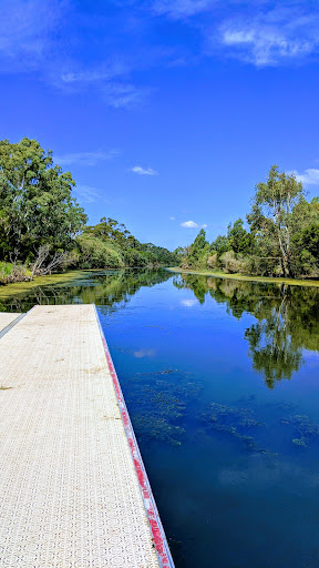 Rowing Shed - Visual