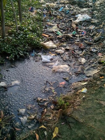 Photos of Fata pokor ( ফাঁটা পুকুর)