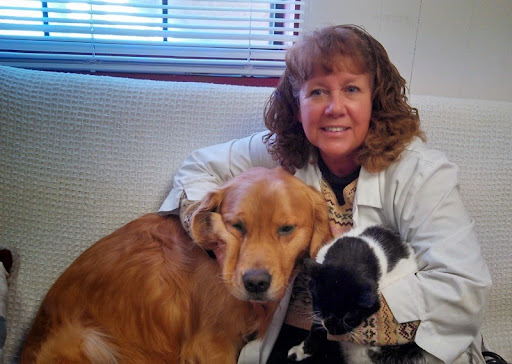 Hartland Animal Hospital: Shaughnessy Maureen DVM - Thumbnail