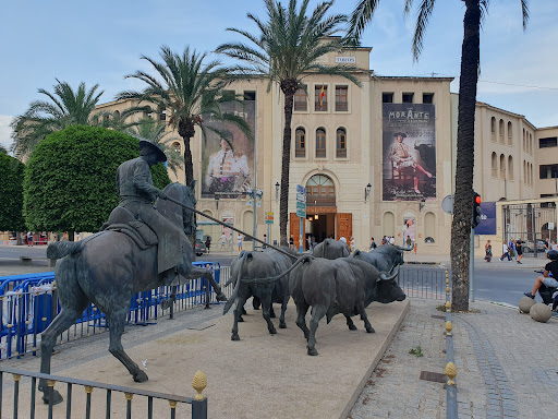 Escuela Taurina de Alicante - Thumbnail