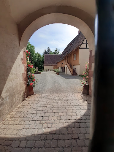 Friseur am Schloss by Lidia Amella