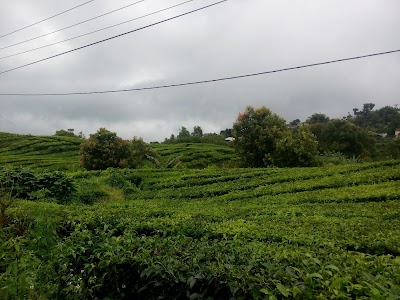 Photos of Pasar Bedeng VIII