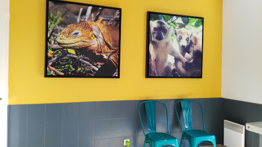 Veterinary Clinic CapSudVet - Thumbnail