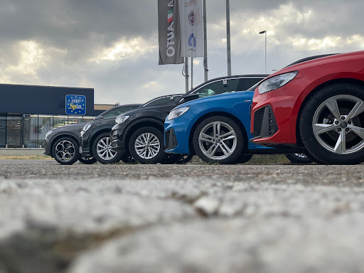 Programma Auto Fiat Professional - Visual
