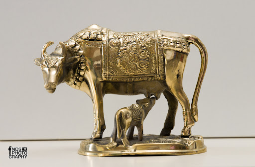 Manashwi Collection - Thumbnail