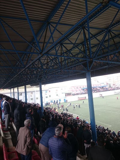 Photos of Yavuz Selim Stadyumu