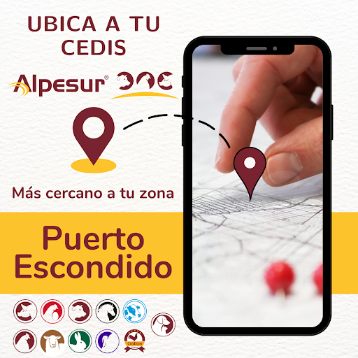 Alpesur Puerto Escondido - Thumbnail