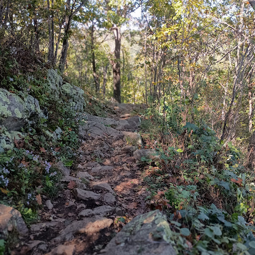 Marys Rock Summit Trailhead parking - Thumbnail
