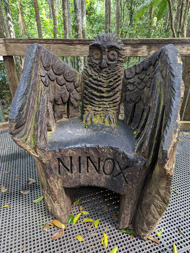 Sea Acres Rainforest Boardwalk - Thumbnail