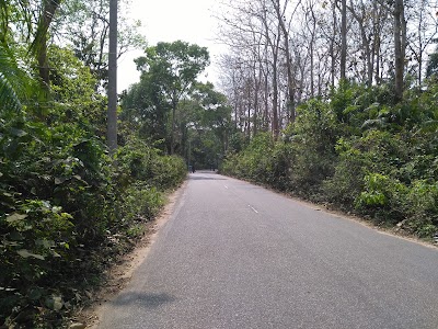 Photos of Satchari National Park Information Center