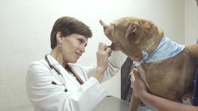 Photos of Clear Creek Animal Hospital