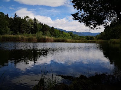 Vahrner See