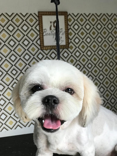 Boutique Pet Estética e Hotelzinho
