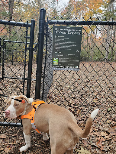 Meadow Woods Preserve Off Leash Dog Area - Thumbnail