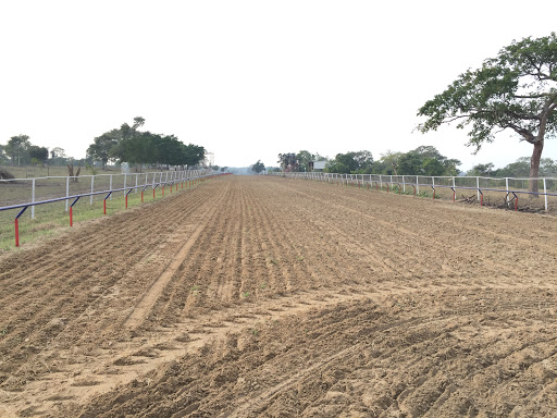 Pista Gladiador